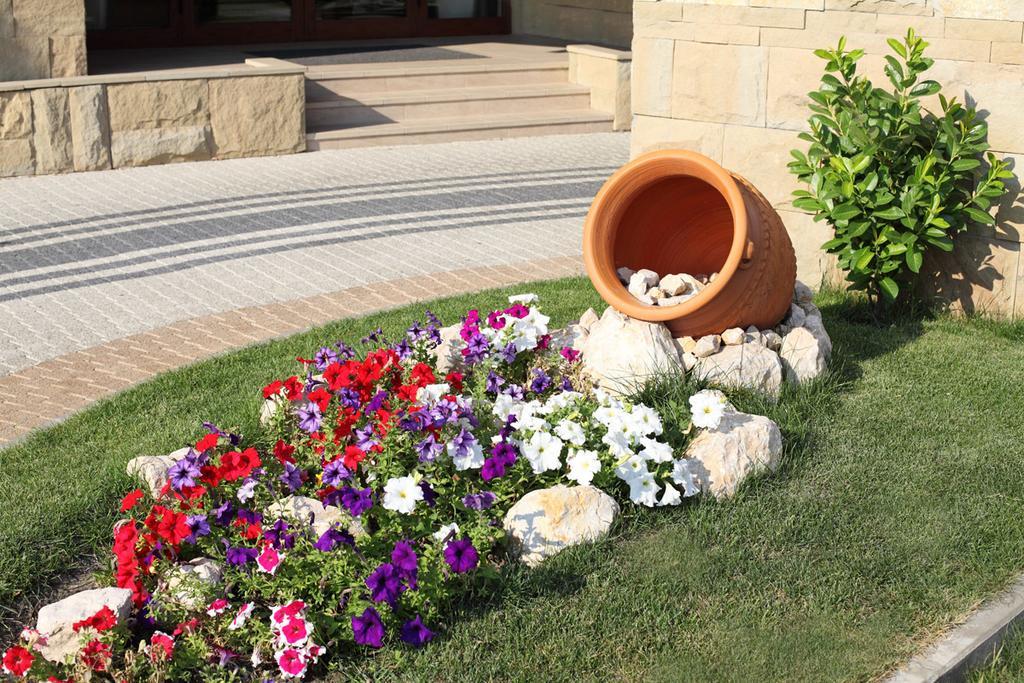 Hotel Danubia Park Veliko Gradište Εξωτερικό φωτογραφία